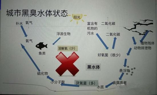 江蘇億元投資治污新技術 石墨烯能否治理黑臭水體？