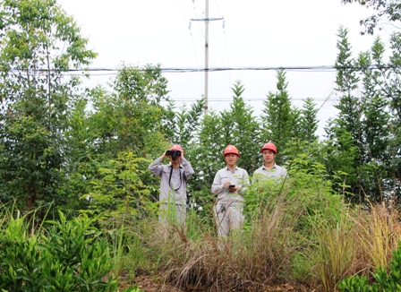 國網江永縣供電公司:負責人帶隊巡線，精施策護網保電