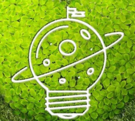 碳排放市場(chǎng)上線兩周后 “碳價(jià)”怎么樣了?