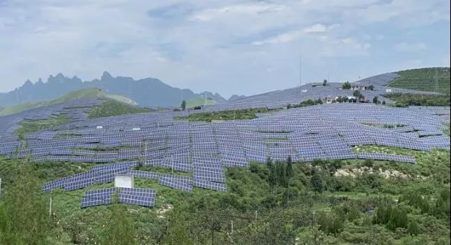 少長一棵草，多發(fā)一度電，助力碳中和