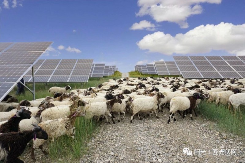 面積接近一個(gè)新加坡！青海塔拉灘光伏電站照亮“陽(yáng)光之路”