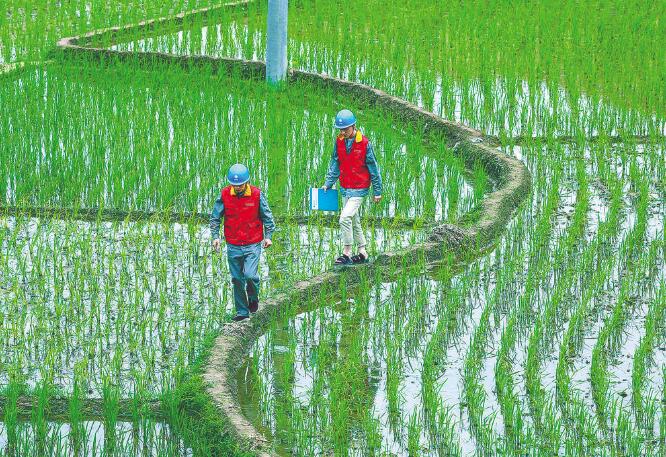 國家電網(wǎng)公司：全力以赴做好抗疫保供電，持續(xù)優(yōu)化電力營商環(huán)境