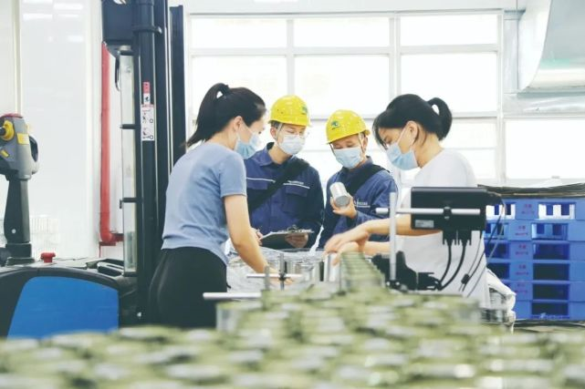 東莞供電局:打出供電服務組合拳 賦能智造之都邁新途