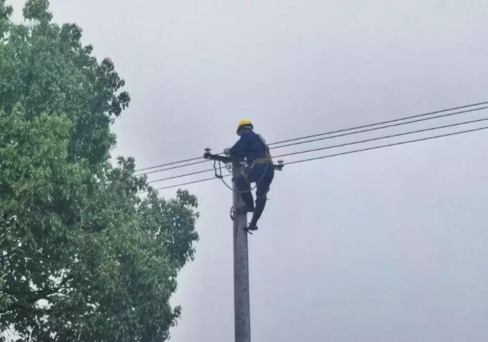 國網(wǎng)湘潭供電公司:黨員服務(wù)進田間 糧田春灌“電力足”