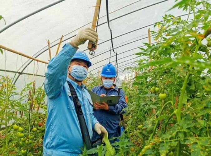 廣西欽州:電力先行 服務(wù)鄉(xiāng)村振興