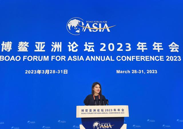 美克生能源董事長魏瓊:儲能是新能源的“心臟”,未來將更聚焦安全儲能的優(yōu)化運(yùn)營