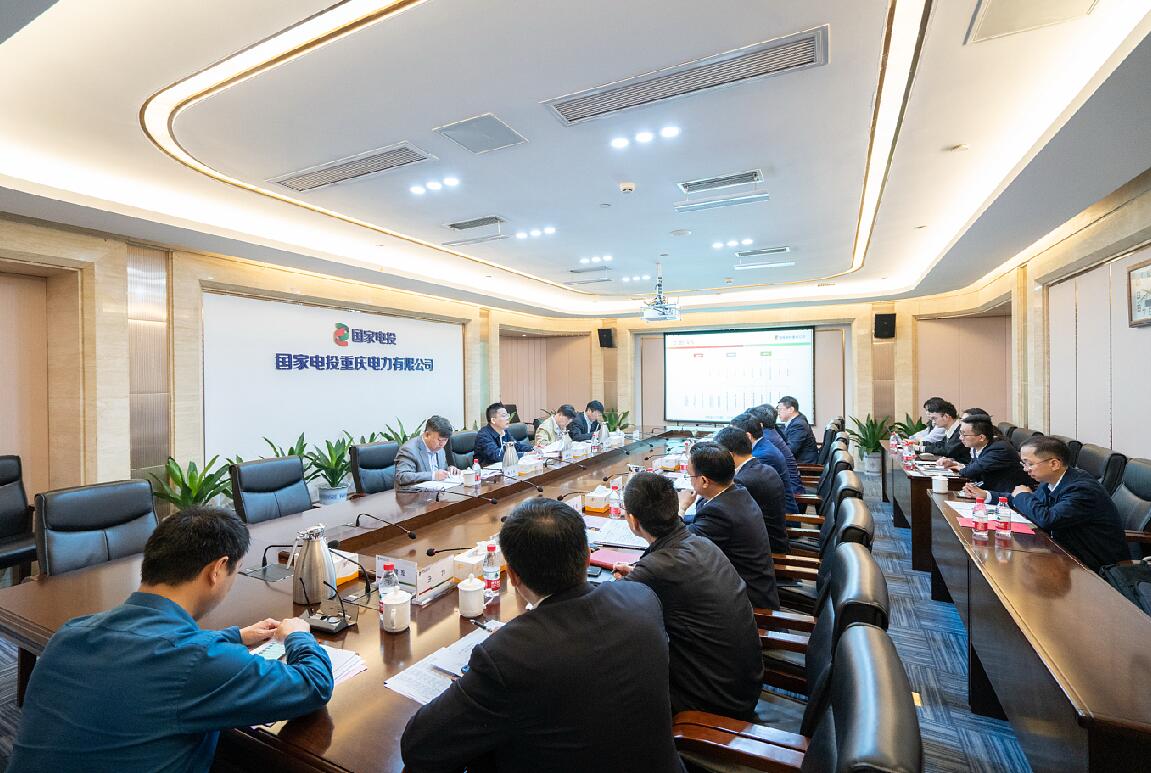 徐樹彪到重慶公司、遠(yuǎn)達(dá)環(huán)保調(diào)研