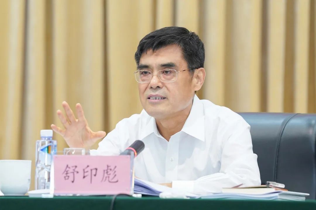 舒印彪：發(fā)展新型電力系統，助力“雙碳”目標