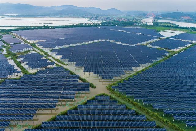 水上發(fā)電，水下養(yǎng)魚!黃石“漁光互補(bǔ)”綠色興農(nóng)