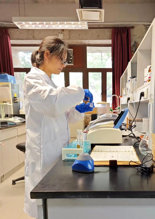 寶山這位博士后探索“氫轉(zhuǎn)甲烷”科創(chuàng)路徑，推動(dòng)清潔能源制氫