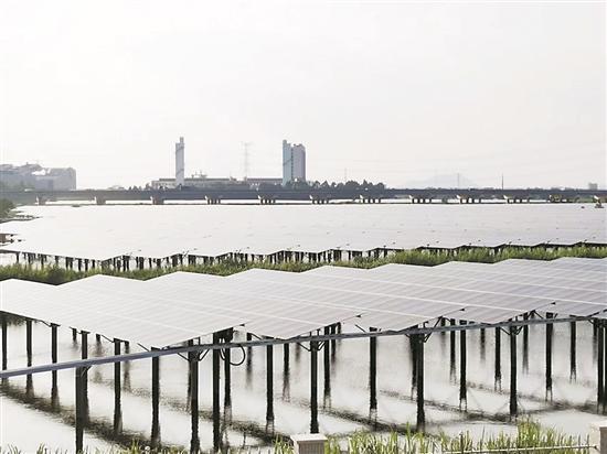 汕頭金平區(qū)88兆瓦集中式漁光互補(bǔ)項(xiàng)目計(jì)劃10月并網(wǎng)投產(chǎn),年發(fā)電量可達(dá)1.2億度