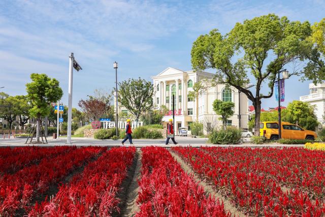 “電靚”和美鄉(xiāng)村，過去20年，杭州電力做了什么