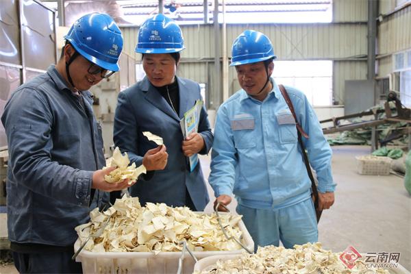 云南姚安供電局:“魔”力十足 電力助增收