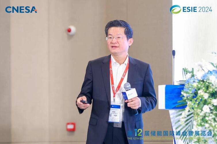 林澤波：儲能企業(yè)出海不是價格競爭，而是以定制優(yōu)質(zhì)產(chǎn)品和服務(wù)實現(xiàn)可持續(xù)發(fā)展