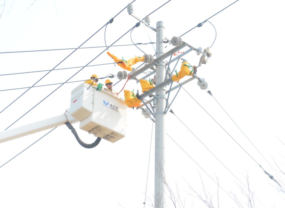 國網(wǎng)長(zhǎng)興島供電公司圓滿完成線路改造作業(yè)