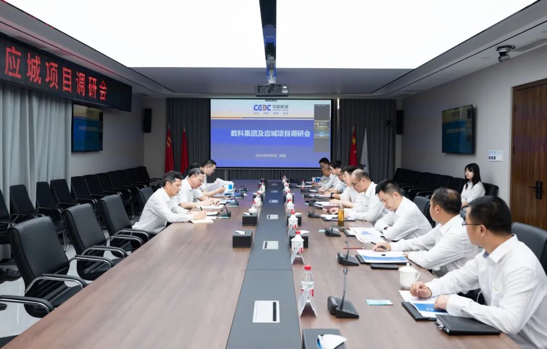 中國能建黨委副書記、總經理倪真調研湖北應城300兆瓦壓氣儲能項目