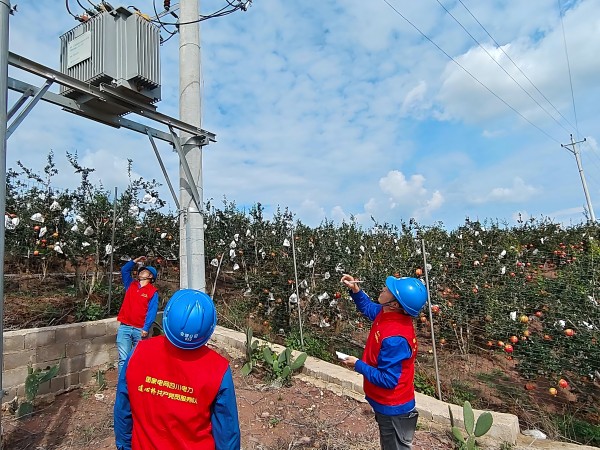國網(wǎng)會理市供電公司以學(xué)鑄魂強黨性 實干擔當促發(fā)展