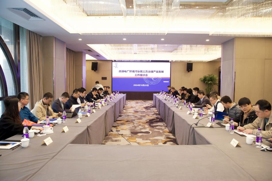 大唐環(huán)境特許經(jīng)營分司環(huán)保治理工作又獲佳績(jī)