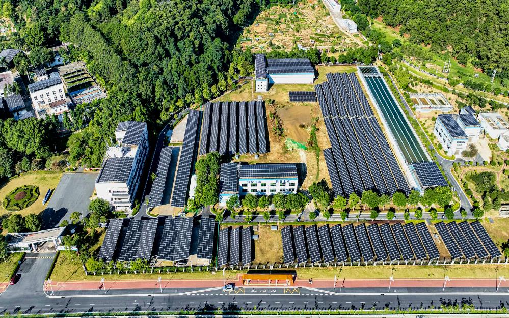 追“新”逐“綠” 粵?？毓杉瘓F走實走好綠色低碳轉(zhuǎn)型高質(zhì)量發(fā)展道路