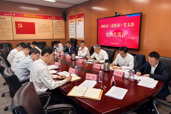 華能集團黨組副書記張文峰參加集團公司戰(zhàn)略部黨支部2024年度組織生活會