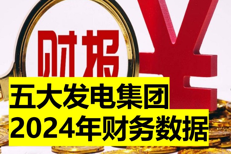 五大發(fā)電集團(tuán)2024年財務(wù)數(shù)據(jù)