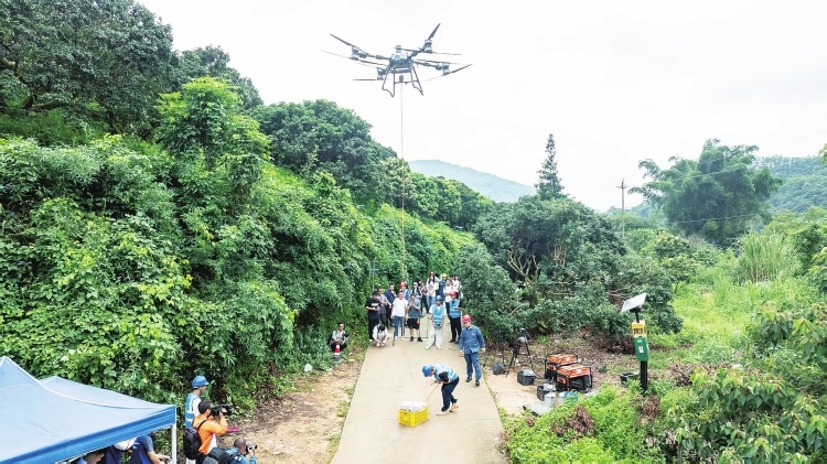 電網(wǎng)無人機為廣州從化農(nóng)戶守住荔枝收益