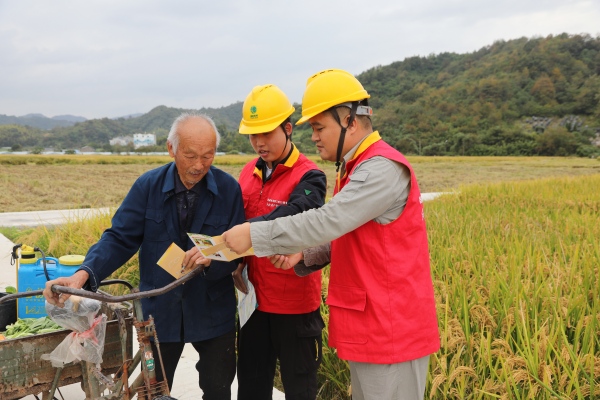 國網(wǎng)臺州市黃巖區(qū)供電公司：初冬巡線護豐收 為