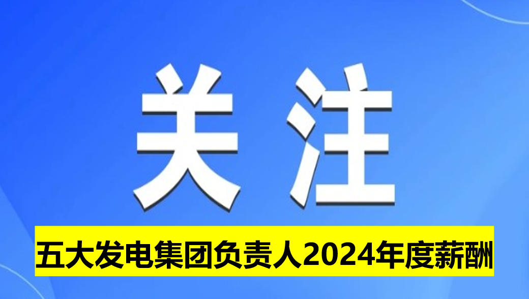 五大發(fā)電集團負責(zé)人2024年度薪酬